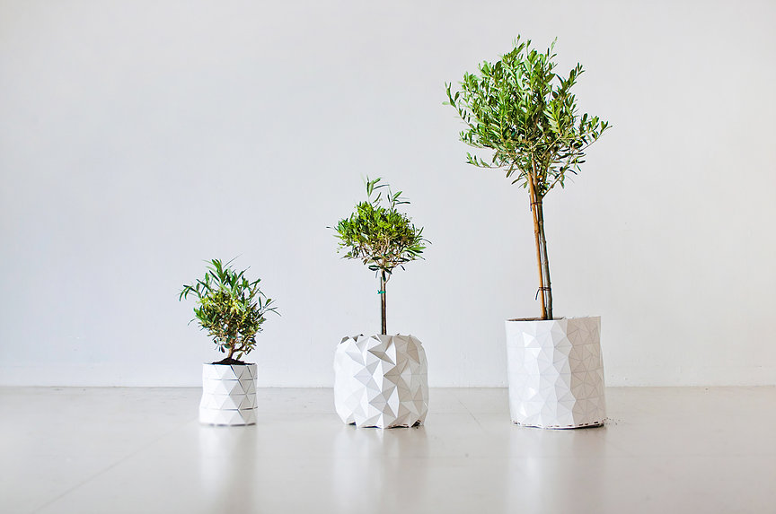 The incredible growing plant pot