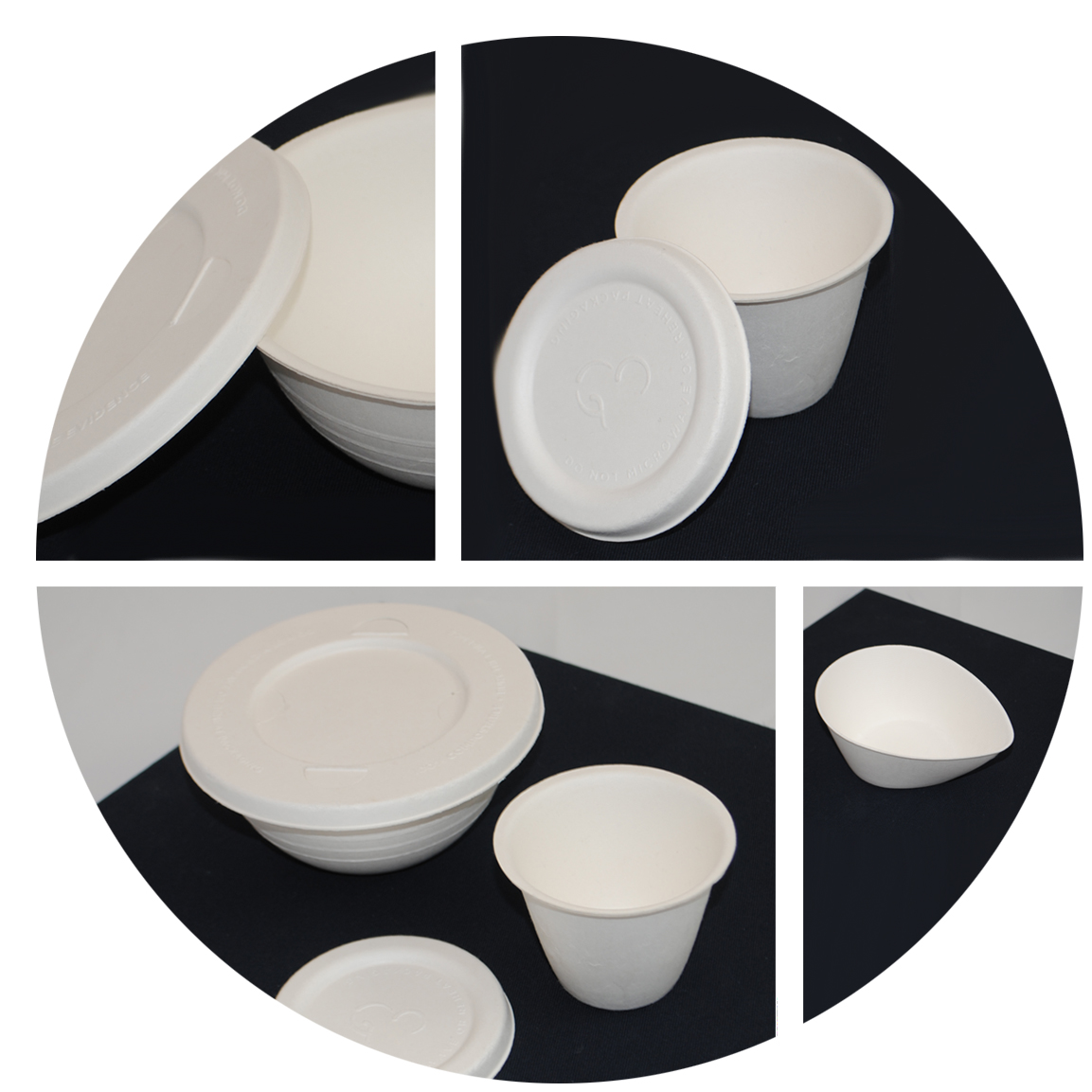 Bagasse Product Examples