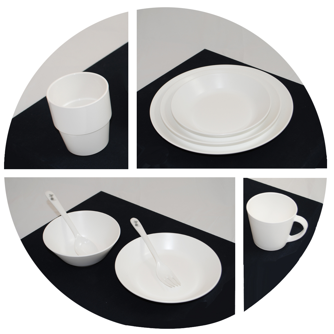 Bagasse Product Examples