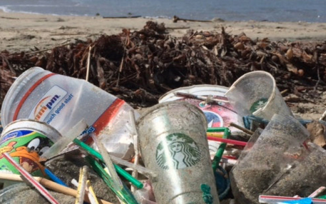 Plastic Straw Alternatives: Our Top 5 Materials